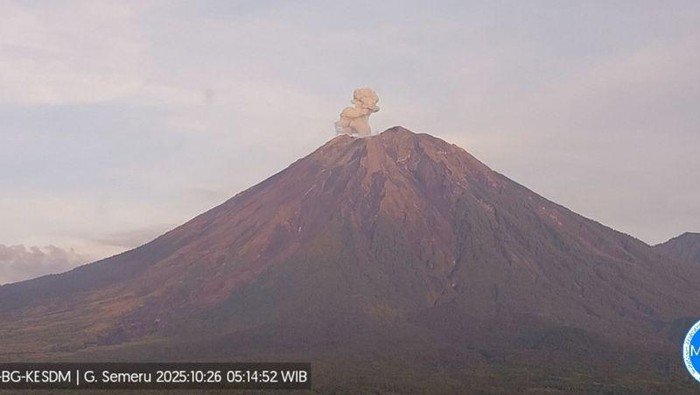 Gunung Semeru Erupsi 2 Kali Pagi Ini, Tinggi Letusan Capai 700 Meter - Update 1