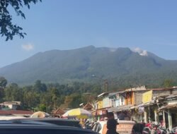 5 Kali Lipat! Puluhan Pendaki Ilegal di Gunung Gede Pangrango Disanksi Bayar