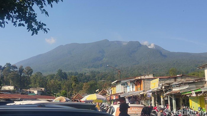 5 Kali Lipat! Puluhan Pendaki Ilegal di Gunung Gede Pangrango Disanksi Bayar