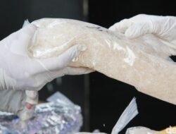 BNN Sukses Bongkar Jaringan Narkoba di 5 Daerah, Dukung BKN!