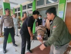 Bus Terguling di Tol Batang, 2 Korban Tewas; Tragedi Ibu-Anak yang Mengegerikan