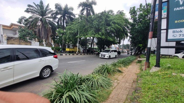 Tragedi Mengerikan! Pohon Raksasa Tumbang di Pondok Indah, Timpa Mobil Lexus, Pengemudi Tewas