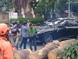 Polisi Ungkap Misteri Kematian Pengemudi Lexus Tertimpa Pohon di Pondok Indah