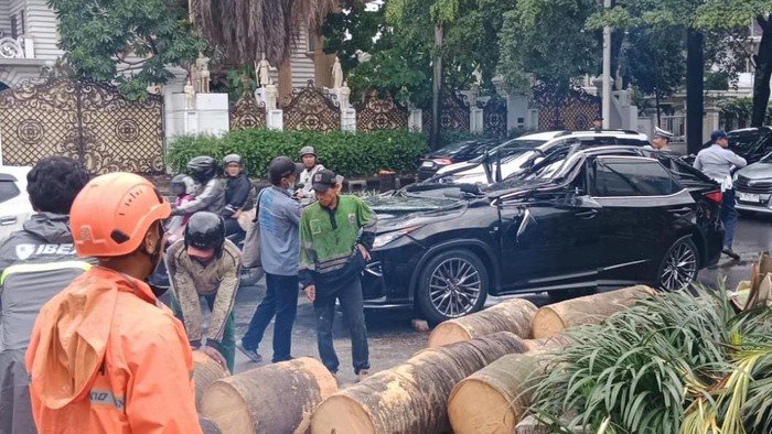 Polisi Ungkap Misteri Kematian Pengemudi Lexus Tertimpa Pohon di Pondok Indah