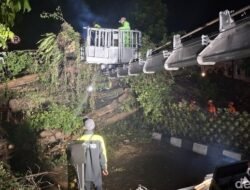 Tragedi di Bogor: Pohon Raksasa Tumbang Tutup Jalan Menuju Stasiun!