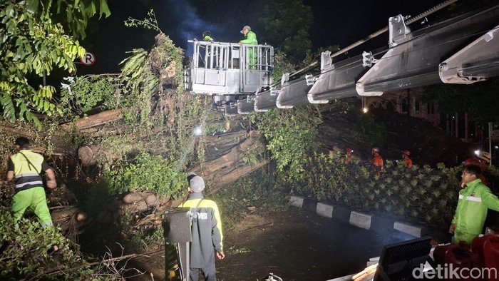 Tragedi di Bogor: Pohon Raksasa Tumbang Tutup Jalan Menuju Stasiun!