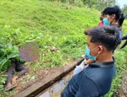 Mandor di Gianyar Tewas dengan Luka Memar dan Gergaji di TKP: Dugaan Siksa Timbul dari Pelaku Lebih dari Satu Orang