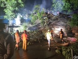 1. **Wali Kota Bogor: Penanganan Pohon Raksasa di Dekat Stasiun Bogor Diperkirakan Selesai Pagi Ini**