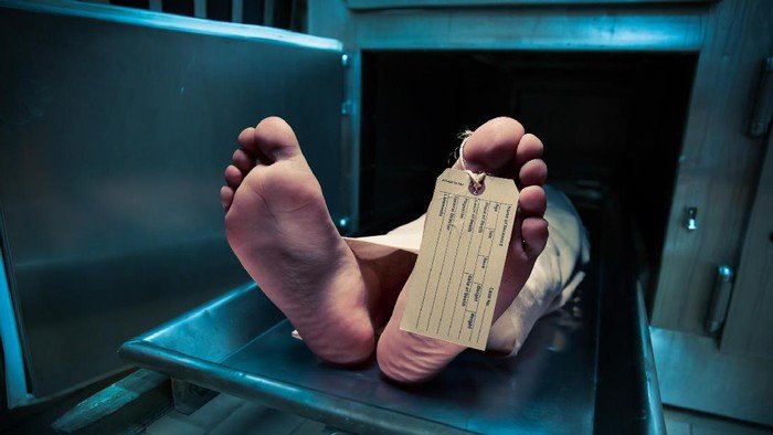 Tragedi Tak Terduga: Pemulung Jaktim Jadi Korban Tabrakan Fatal