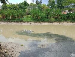 Viral Ikan-ikan di Sungai Jagir Surabaya Naik ke Permukaan – Update 3