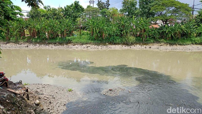 Viral Ikan-ikan di Sungai Jagir Surabaya Naik ke Permukaan - Update 3