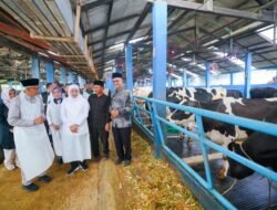 “Khofifah Dorong Susu Sapi Pasuruan, Solusi Lokal-Ekspor yang Menjanjikan”