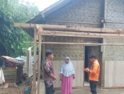 Pohon Tumbang Timpa Rumah di Tenjo Bogor, 2 Anak Luka-luka: Tragedi yang Menyadarkan Kita tentang Kebutuhan Pemeliharaan Lingkungan