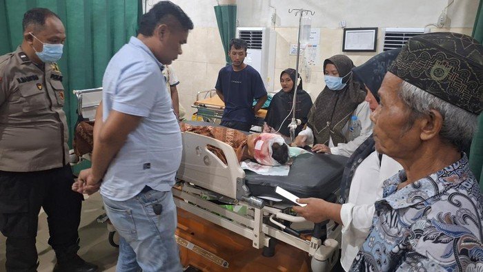 Petani di Muaro Jambi Jadi Korban Beruang saat Sadap Karet, Luka Serius di Kepala