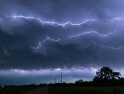 “Hujan Sejuk Jakarta, Namun Bahaya Banjir dan Pohon Tumbang Menyelinap!”