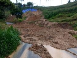 Longsor 100 Meter Tutup Jalur Utama, Petaka Transportasi di Tulungagung-Trenggalek via Pagerwojo