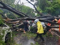 “Darurat! Pohon Tumbang di Jakarta, Cari Posko Darurat di Sini!”