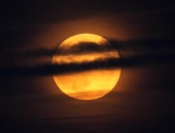 **Supermoon 5 November 2025: Fenomena Langit Langsung Dapat Dikagumi di Indonesia!**