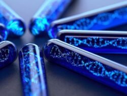 Kemenkes Kembangkan Bank Data Genomik, Warga Indonesia Tak Perlu Tes DNA di Luar Negeri