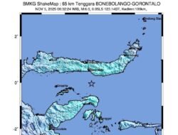 BMKG Ungkap Misteri Gempa M 6,2 yang Guncang Bone Bolango, Gorontalo