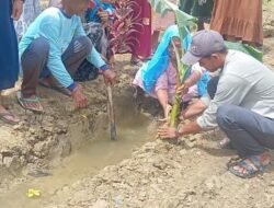 Jalan Rusak Cikaret, Warga Plant Pohon Pisang