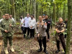 “Forkopimda Bogor Tanam Pohon di Puncak, Gugat Krisis Iklim dan Dukung Pelestarian Lingkungan”