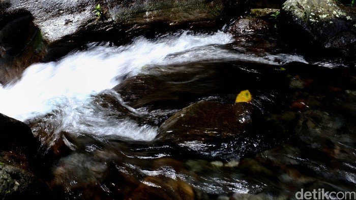 Aksi Polisi di BSD Selamatkan Remaja yang Dikabarkan Hilang Loncat ke Sungai - Update 1