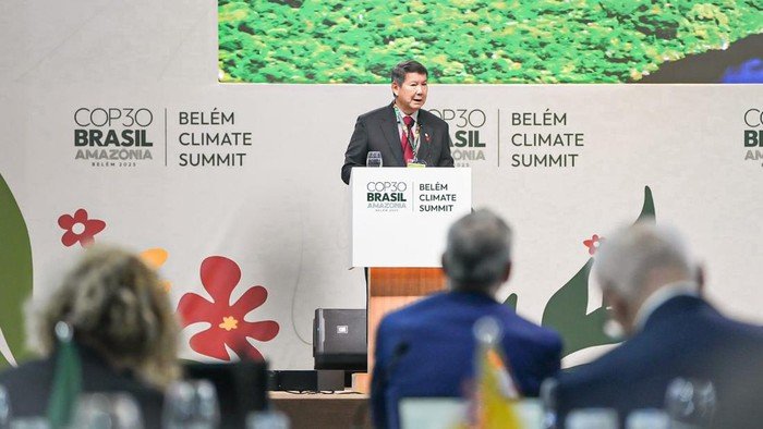 Hasil Mengejutkan: Laju Deforestasi RI Turun Drastis ke Angka Terendah dalam 20 Tahun!