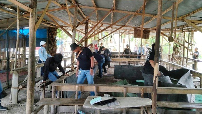 Polisi-TNI Gerebek Judi Sabung Ayam 'Bupati Arena' di Kampar, Cegah Peredaran Ayam Liar