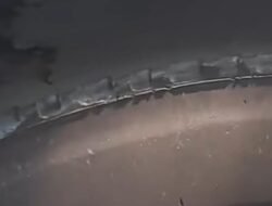 Viral Ban Bus ‘Botak’ Transjakarta, Warganet Geram, Perusahaan Buka Suara