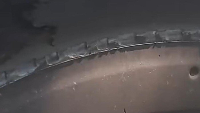 Viral Ban Bus 'Botak' Transjakarta, Warganet Geram, Perusahaan Buka Suara