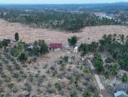 Banjir Bisa Surut, Tapi Dampak Pemanasan Global Tetap Menyusup