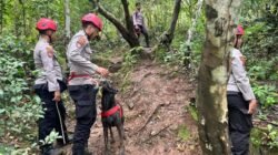 Polda Sulsel Gandeng Anjing Pelacak, Apakah Mereka Menemukan Korban ATR 42-500?