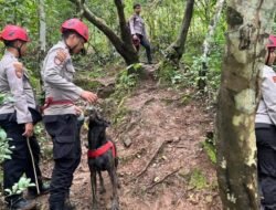 Polda Sulsel Gandeng Anjing Pelacak, Apakah Mereka Menemukan Korban ATR 42-500?