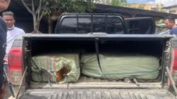 BNN Tangkap 3 Orang Jaringan Narkoba Aceh-Medan, 200 Kg Ganja Disita – Update 1