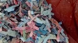 Heboh! Cacahan Kertas Diduga Uang Rp 100 Ribu Ditemukan di TPS Liar Bekasi, Apa yang Sebenarnya Terjadi?