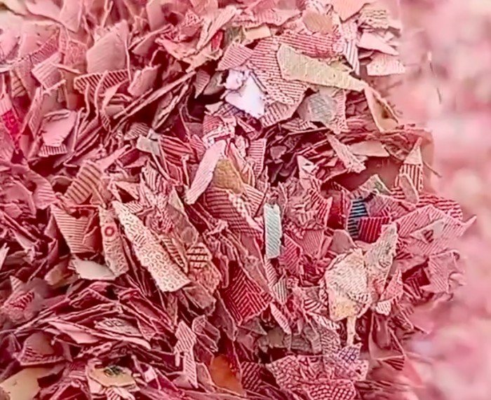 **Cacahan Kertas Diduga Uang Rp 100 Ribu Ditemukan di TPS Bekasi: Begini Awal Mula Temuannya**