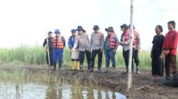 **Dukung Ketahanan Pangan, Kapolda Metro Tinjau Tambak Udang di Muara Gembong**