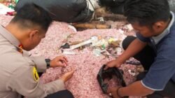 Polisi Pastikan Cacahan Duit di TPS Bekasi Uang Asli Cetakan BI, Ini Faktanya!