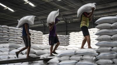 **Cadangan Pangan Pemerintah, Solusi Tanggap Darurat untuk Banjir di Tiga Provinsi**