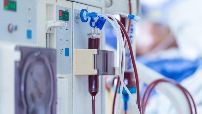 YLKI Soroti PBI BPJS Tiba-Tiba Nonaktif, Ancam Pengobatan Pasien Kronis Cuci Darah-TB