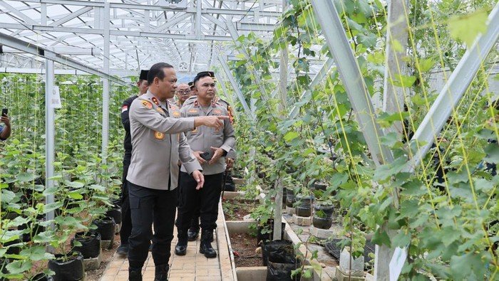 Kapolda Metro Siap Revolusi Pertanian, Tinjau Green House Bekasi untuk Dukung Kemandirian Pangan