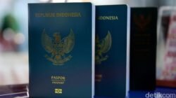**Syarat dan Ketentuan Bikin Paspor Anak Usia di Bawah 5 Tahun: Ketahui Sebelum Bepergian ke Luar Negeri**
