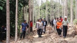 7 Langkah Pemerintah Usut Misteri Gajah Tanpa Gading, Buka Tabir Kematian Massal