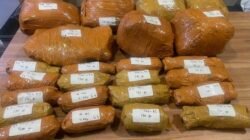 Narkoba Bersembunyi di Parkiran RS! 9,4 Kg Ganja Ditemukan dalam Mobil Angkut Narkoba