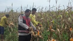 “Aipda Iwan: 15 Tahun Menyelamatkan Petani dan Membangun Ekonomi Desa di Ogan Ilir”