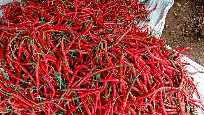 [Pemprov DKI Waspadai Kenaikan Harga Minyak dan Cabai Jelang Ramadan]