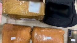 Polda Metro Ciduk Pengedar Ganja 2 Kg, Bongkar Ekspedisi Depok