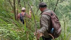 Hilang 24 Hari di Bukit Mongkrang, Tragedi Mengerikan Pendaki Yasid Ahmad Terungkap