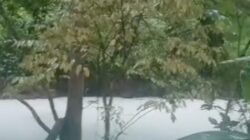 Buntut Panjang Kebakaran Pabrik Pestisida di Tangsel: Ancaman Kesehatan yang Tidak Terduga!